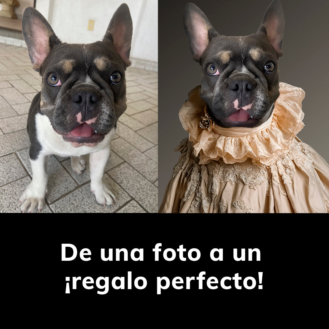 Condesa - Set de portavasos