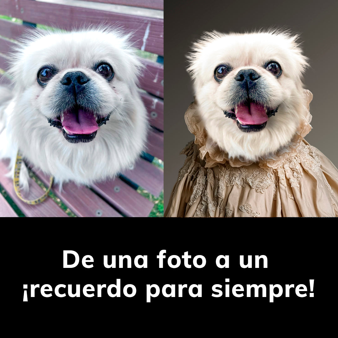 Condesa - Marco de Madera