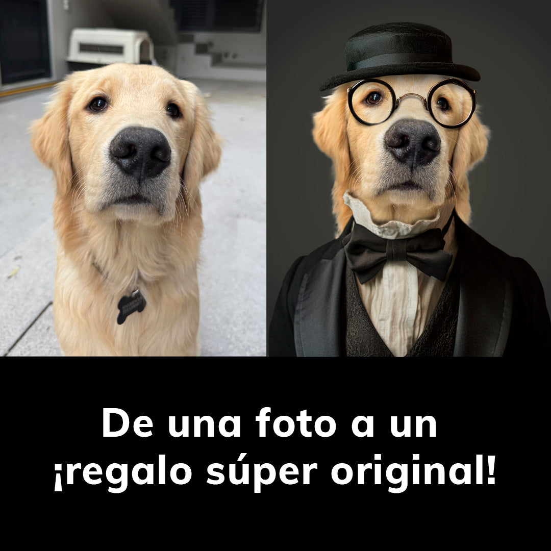 Lord - Set de portavasos