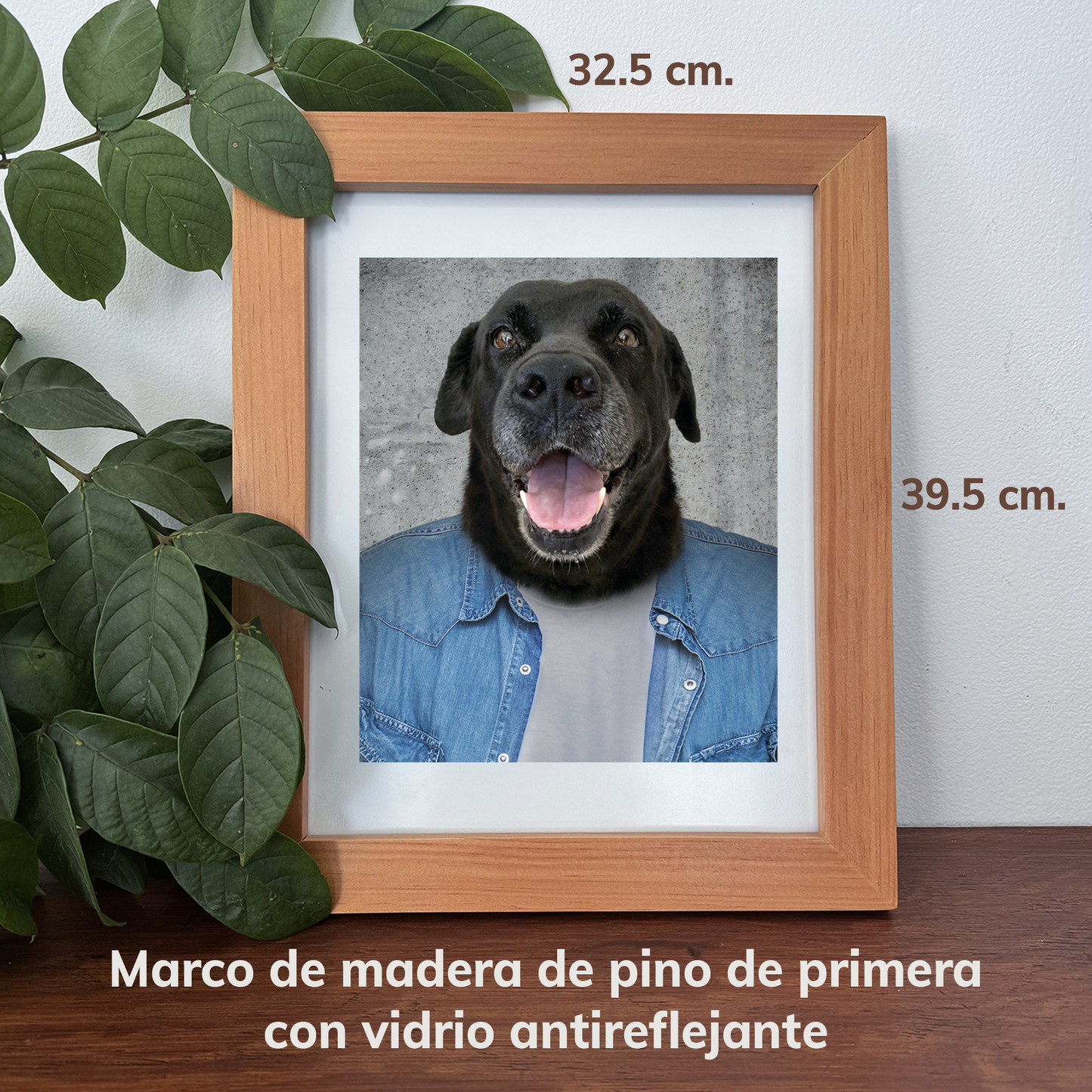 Cool - Marco de Madera