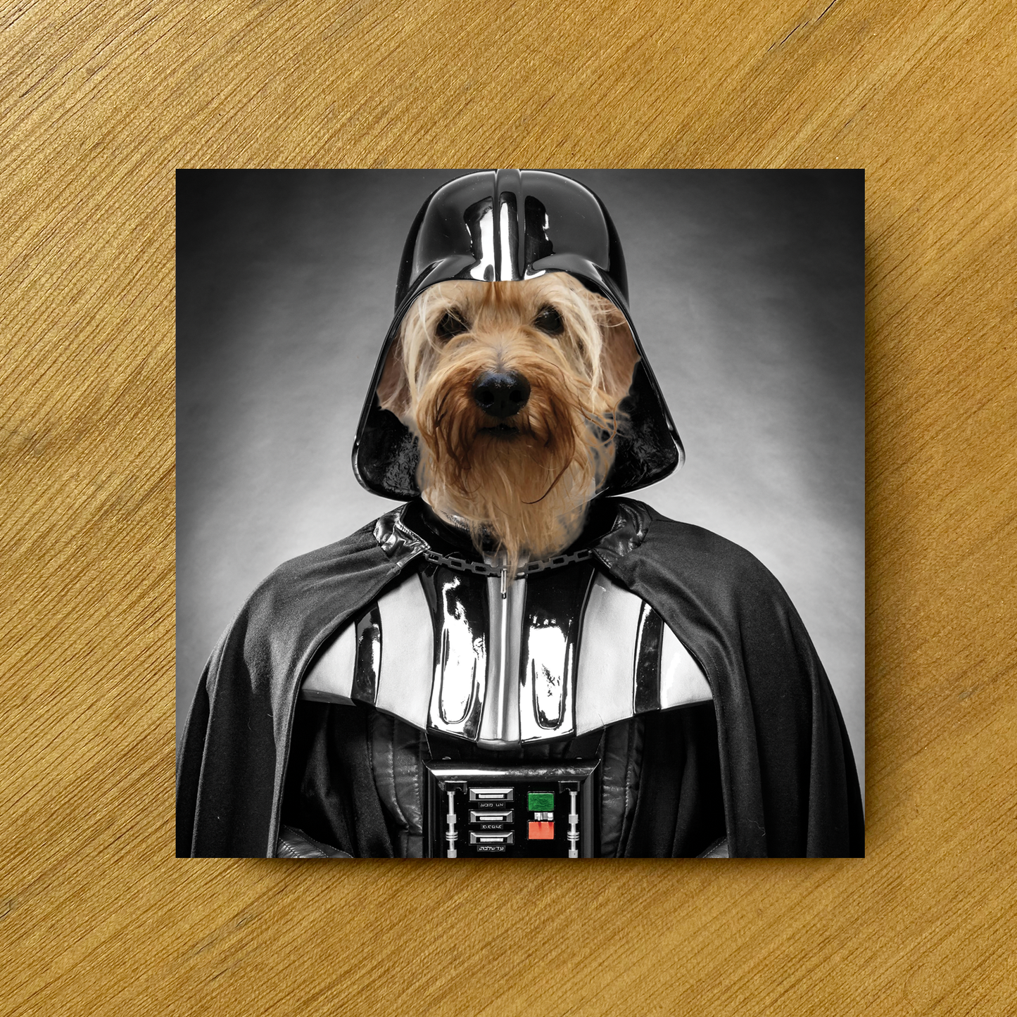 Dog Vader - Set de portavasos