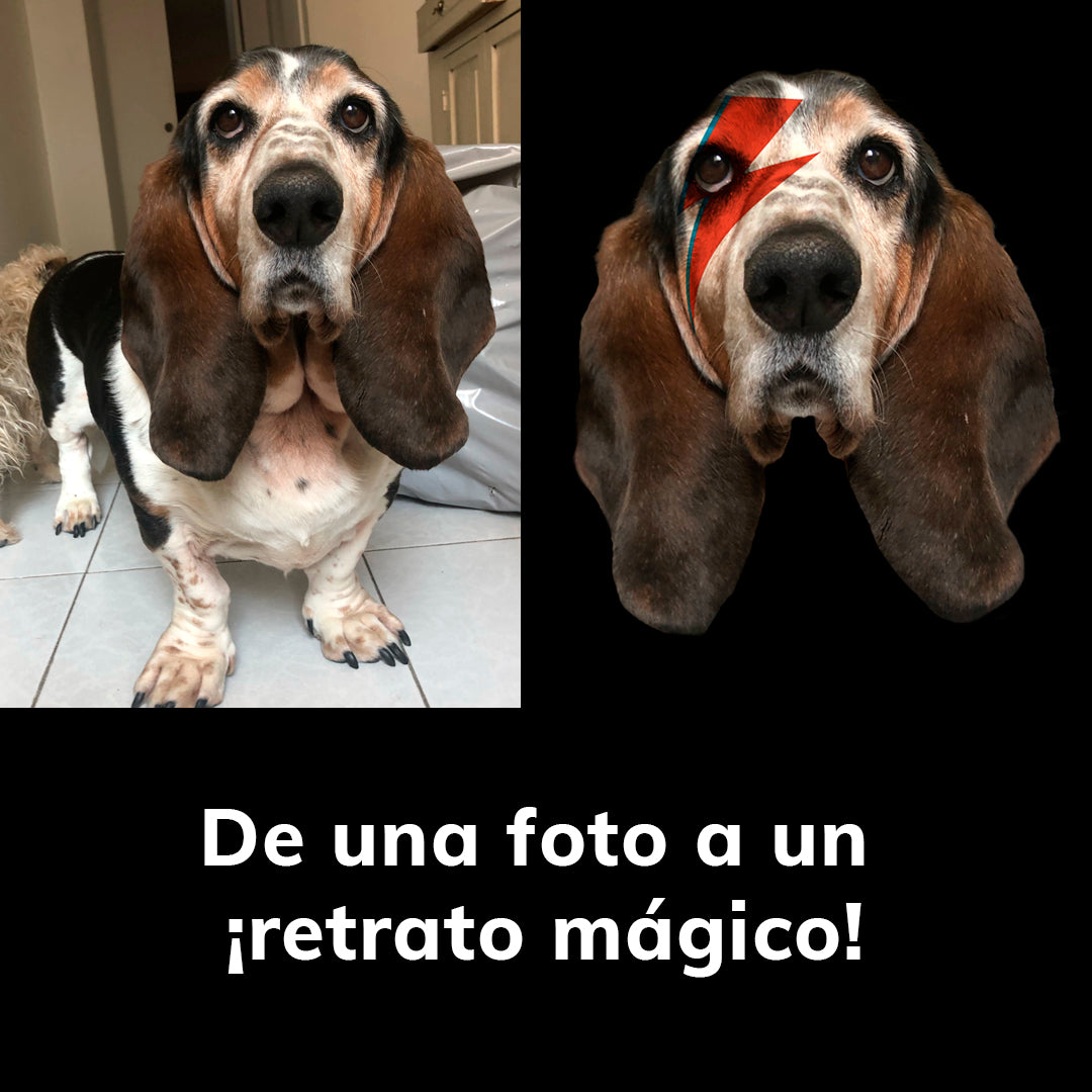 Dowie - Marco de Madera