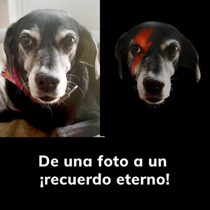 Dowie - Marco de Madera