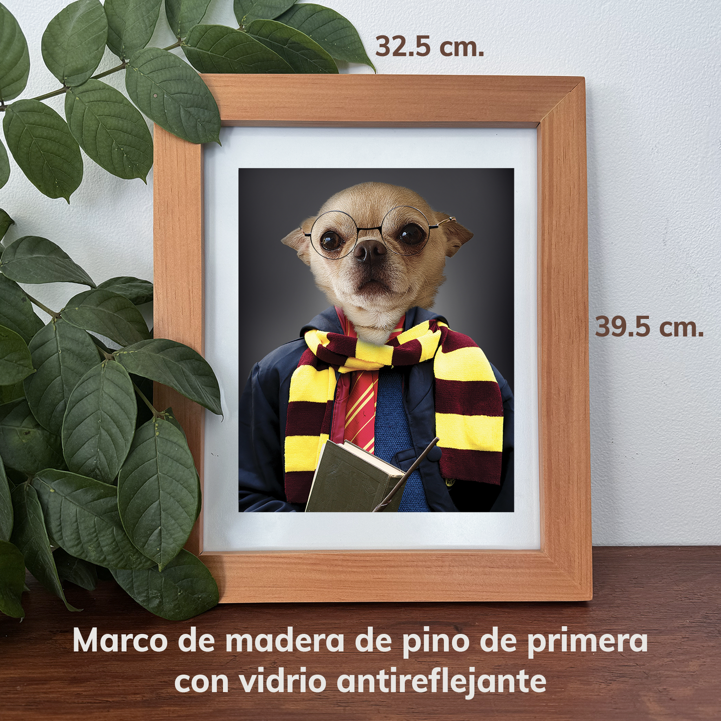 Hairy Potter - Marco de Madera